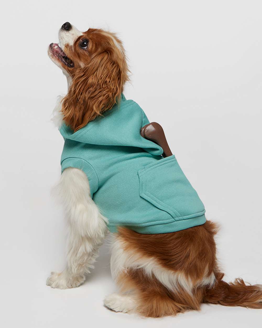 Aqua Custom Dog Hoodie – Personalized Pet Sweatshirt with Name