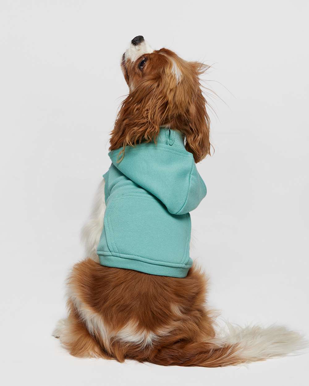 Aqua Custom Dog Hoodie – Personalized Pet Sweatshirt with Name