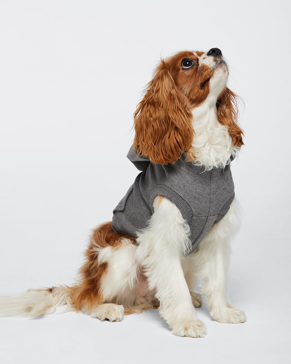 Aqua Custom Dog Hoodie – Personalized Pet Sweatshirt with Name